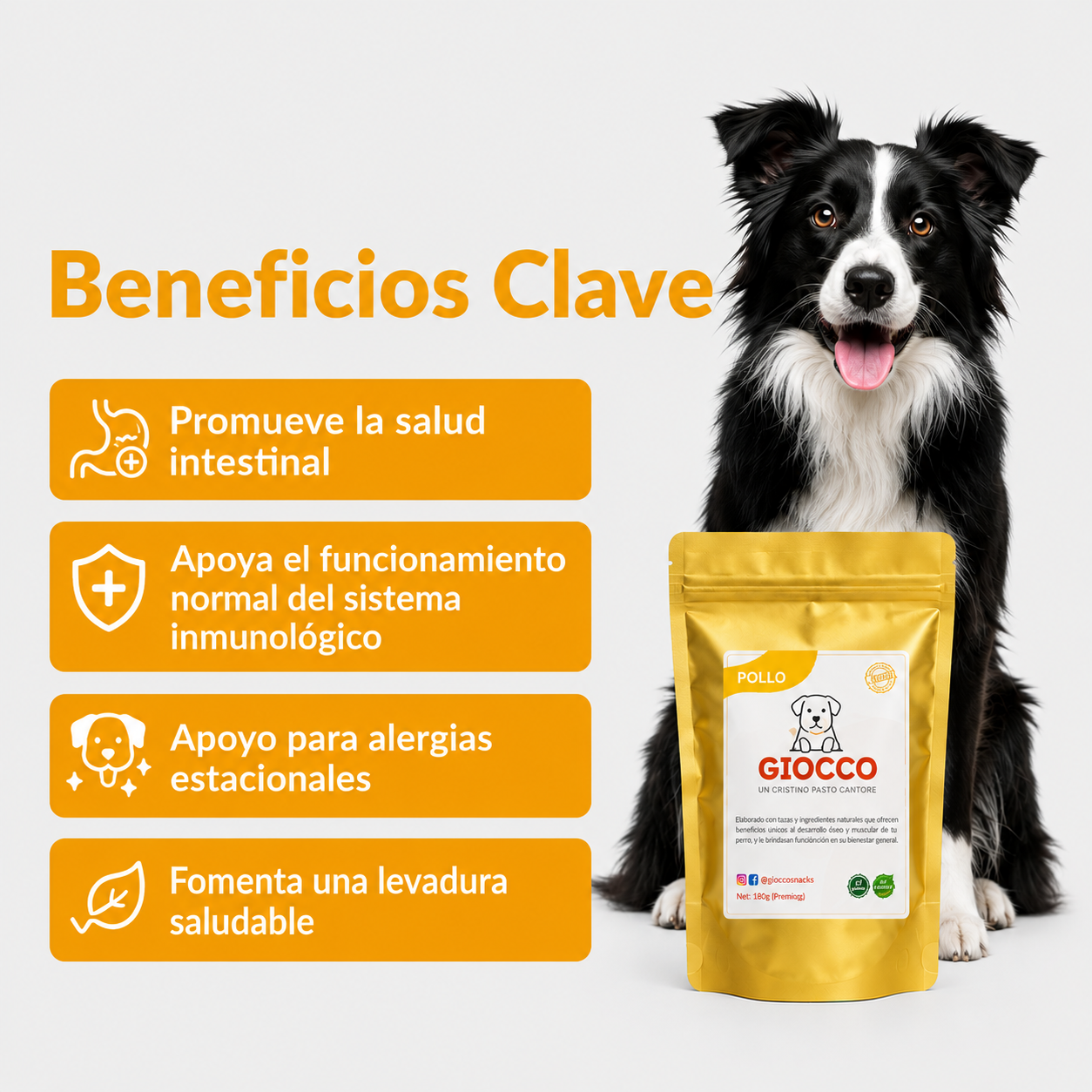 Beneficios clave GIOCCO